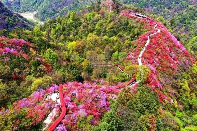 95ab6377d5e5629a49980f4382ea612f-sz_175443