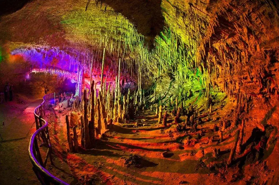 95f7c8b6490bfe6ad11f950ebe55ae14-sz_187731-2