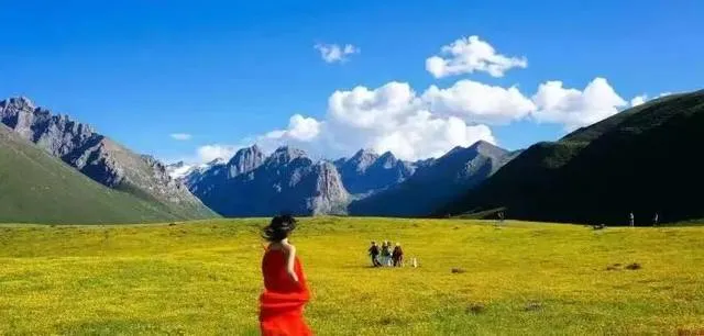 9620ca82d81956725be071111dc0b0fb-sz_254405