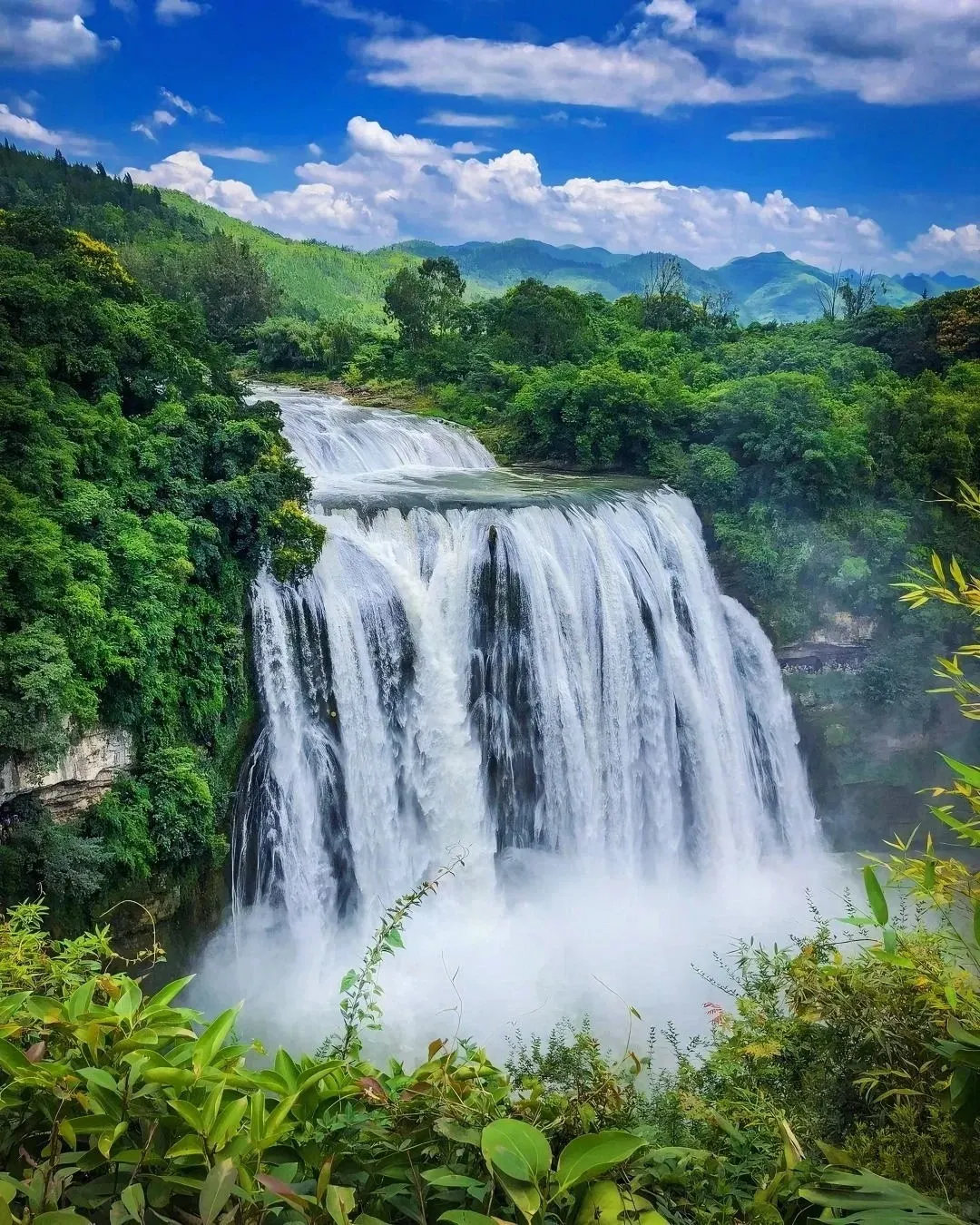 962f44b0f764c4bb38fdce418a8eb70f-sz_379597