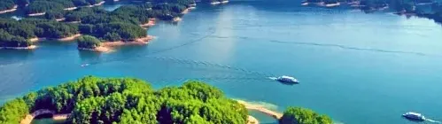 964e4c57d7b8a89575413754c46904ba-sz_252276