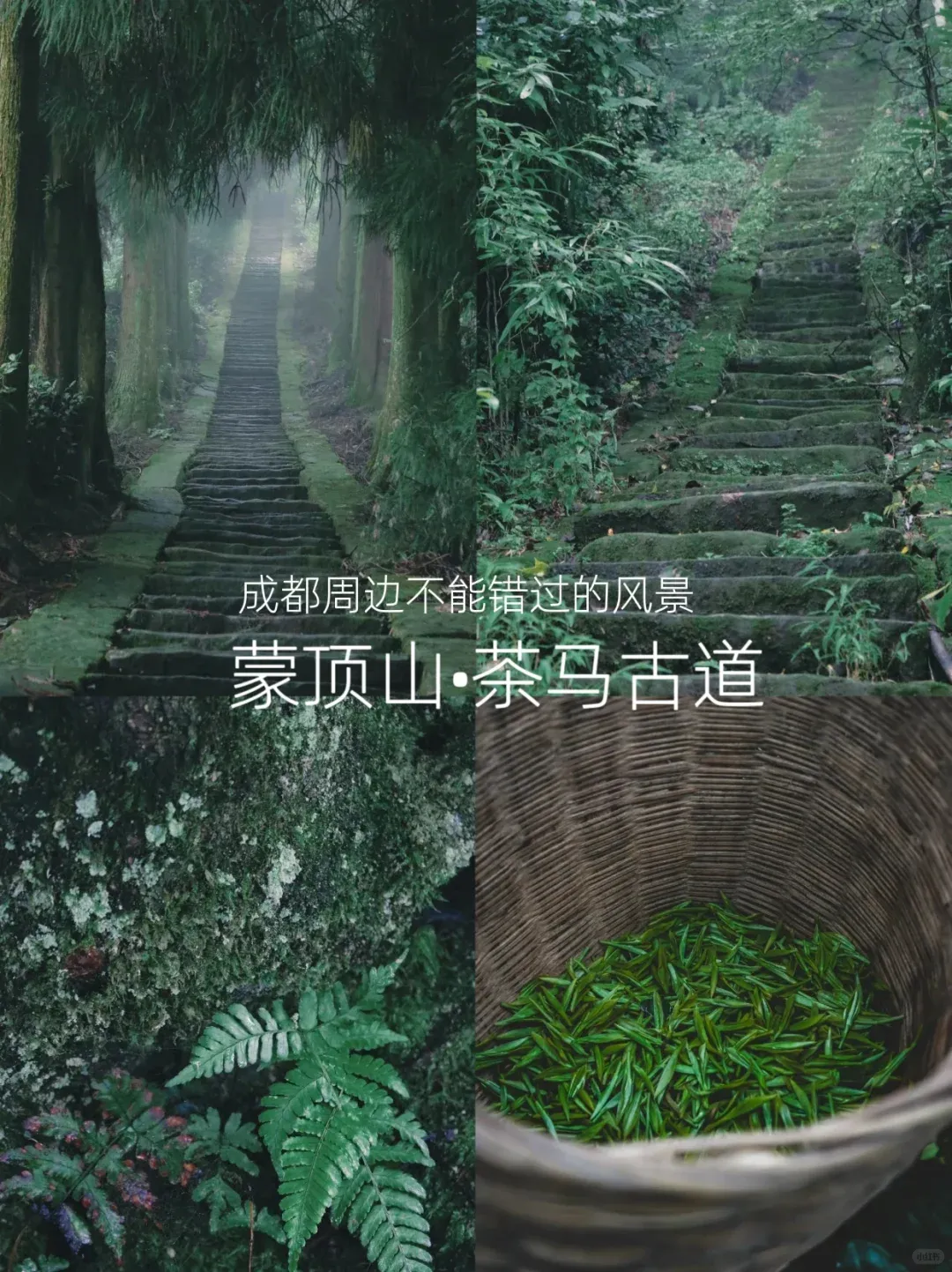 968cf134ba47a2772dbb6a9a9d5fa701-sz_2718695 968cf134ba47a2772dbb6a9a9d5fa701-sz_2718695