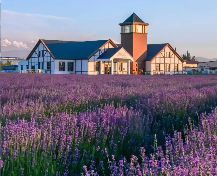 96d06137c12967fe399a0d622941eab6-sz_1029362