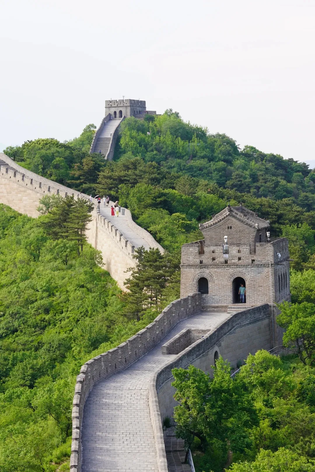 970d4f5c81a94d99167c1d5916046b92-sz_618552-3