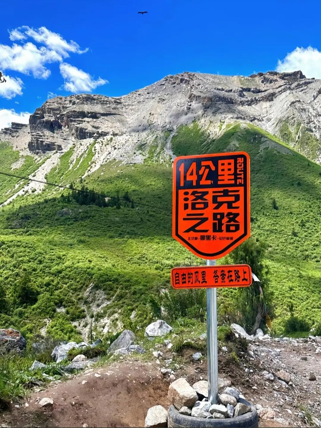 97a640f54c25c27d70c21aa3b61c7188-sz_337248