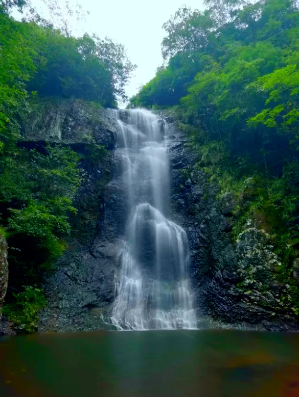 98356783f89dc054d383235d41ab7641-sz_866750