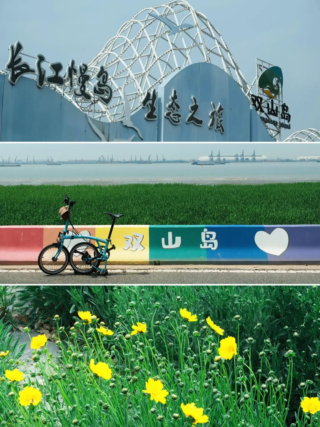 986c2449a4221176a8c4c45324751cec-sz_2166098