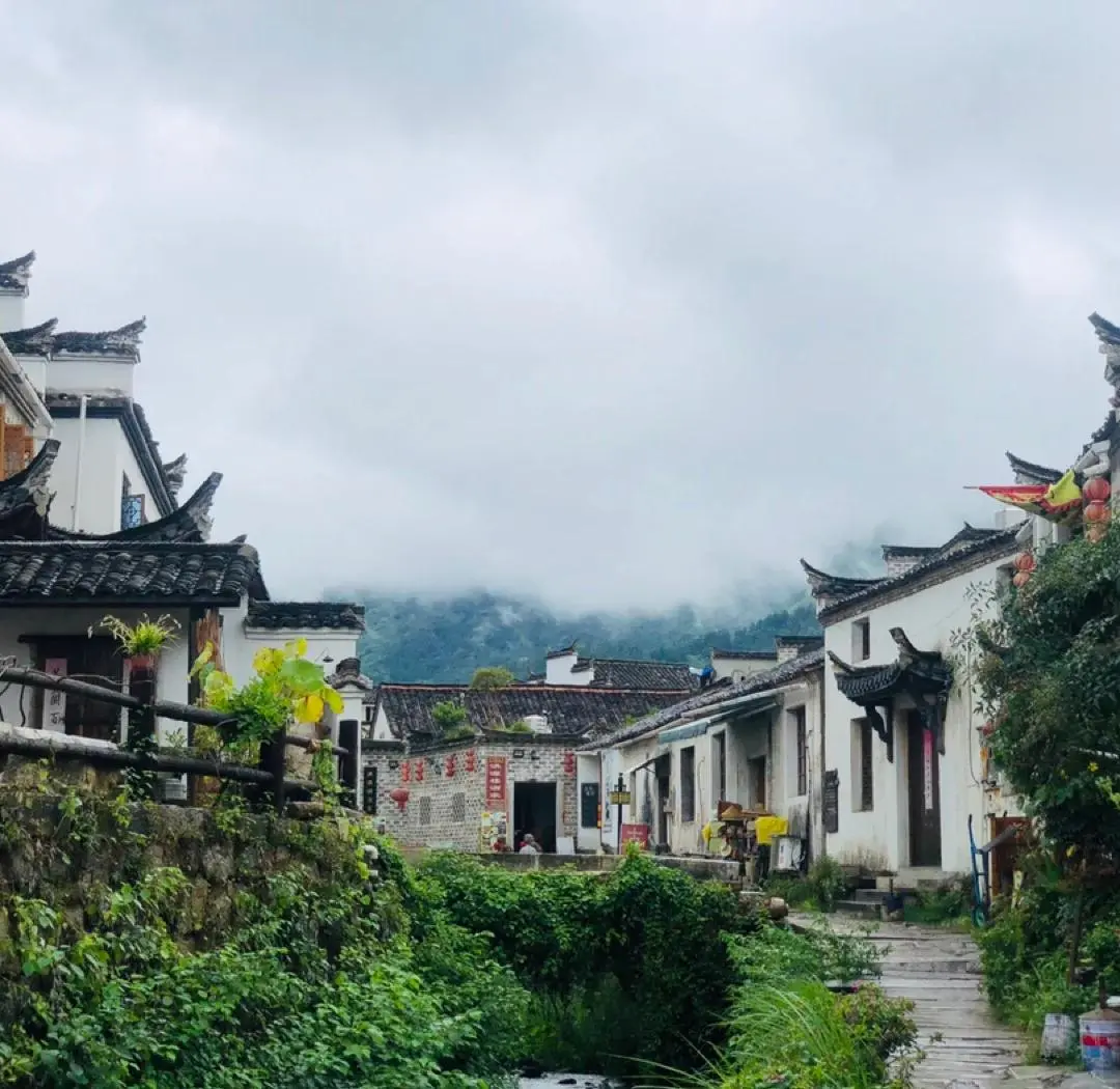 988117eb0d38fade7a73ac97b4630242-sz_143272