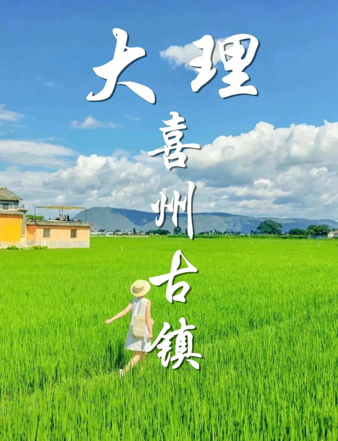 98994381f021aa5a9cbee0c0df3f60b3-sz_216031