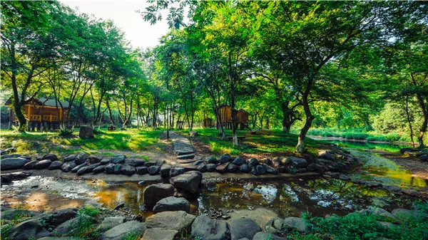 99565180ffb8ef25e2db2544dddaa312-sz_529630