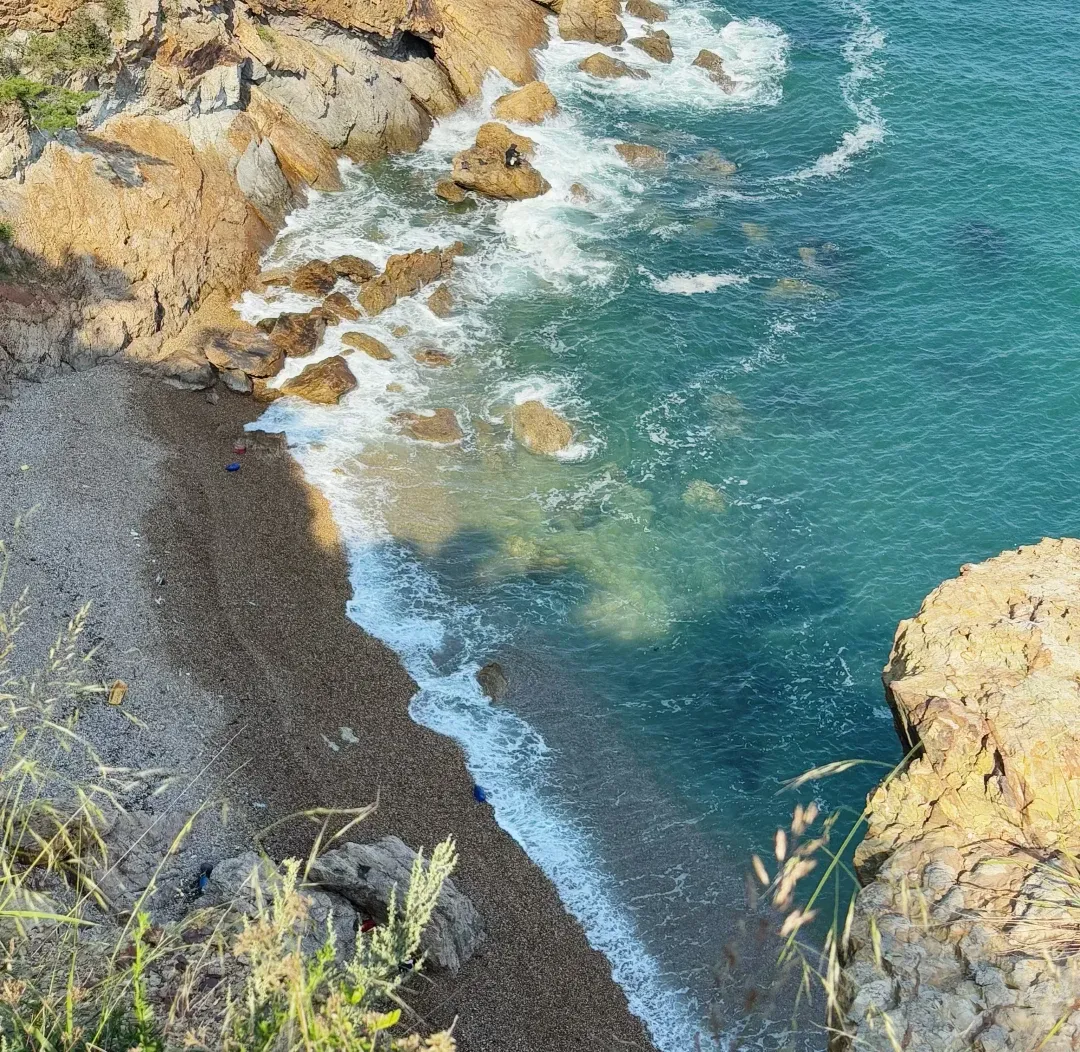 997a8c7da5a450dc220fe45777f0e488-sz_3578856