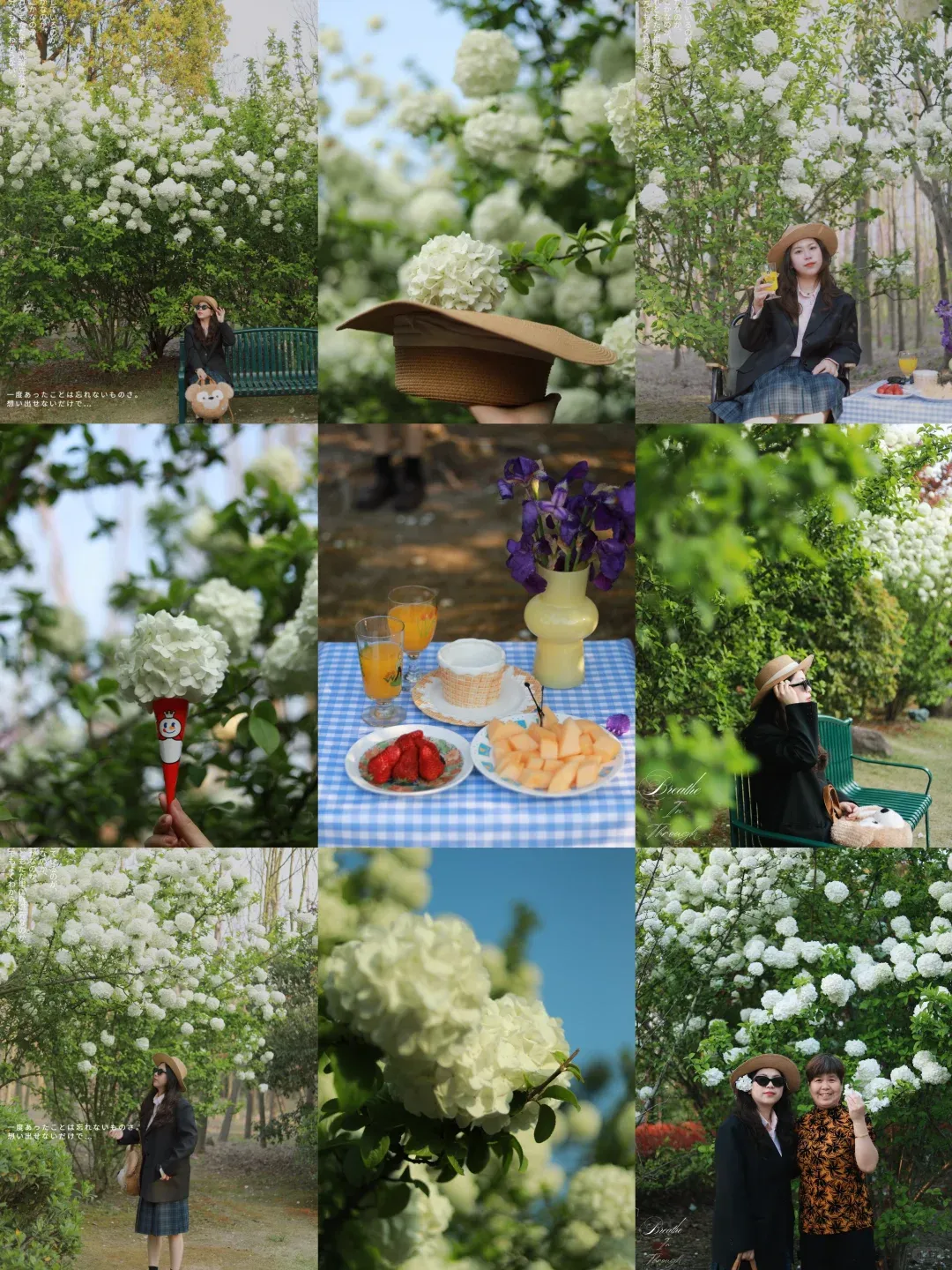 9a1181e85724c99e1a7358326054d5b2-sz_2633948 9a1181e85724c99e1a7358326054d5b2-sz_2633948