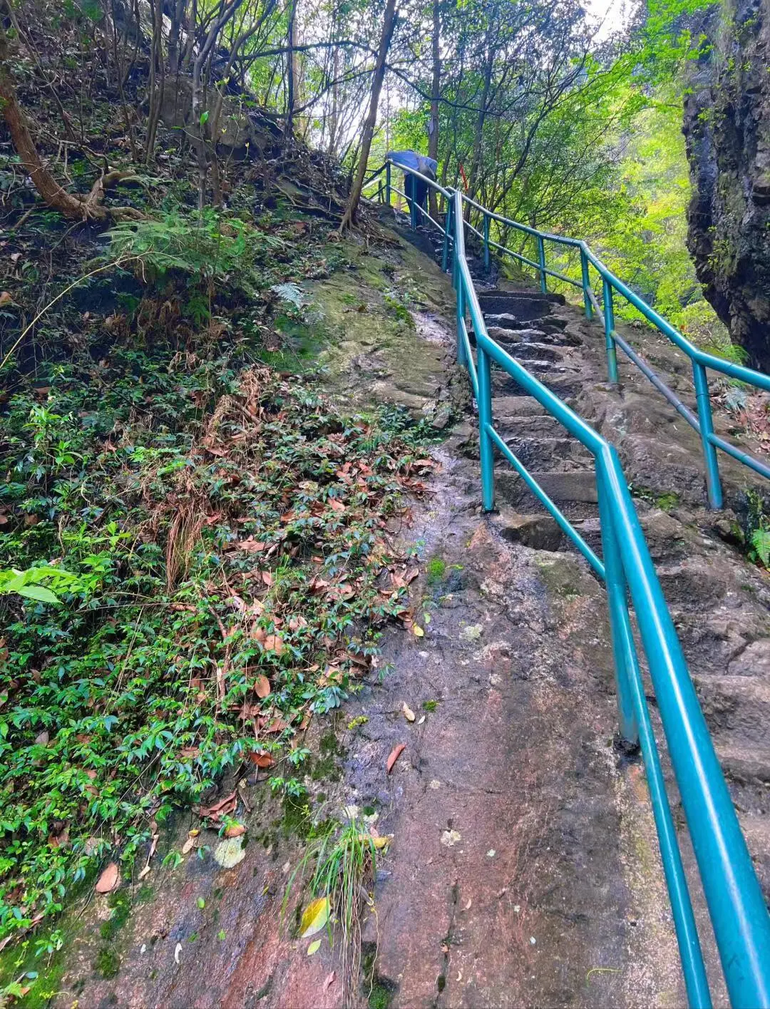 9a8e8302773638a7d056c3c34dffc327-sz_482655