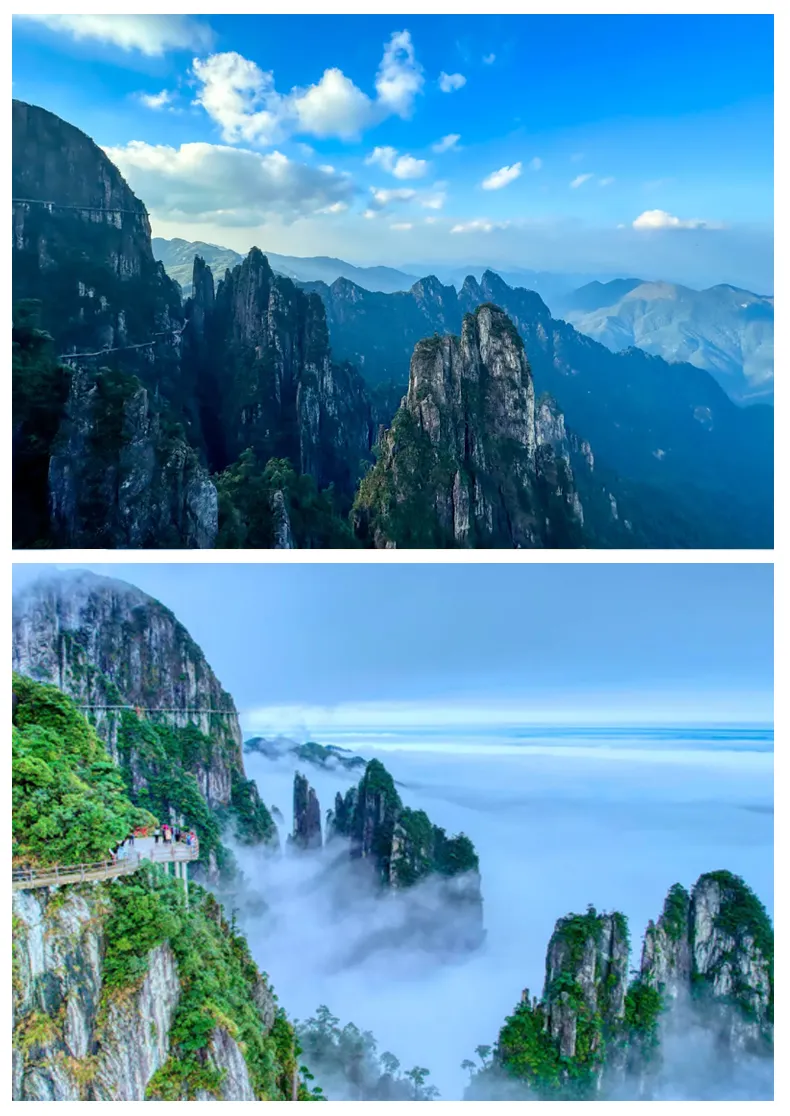 9ac457d6376a03e6797055a1e6d3d5f2-sz_1213747