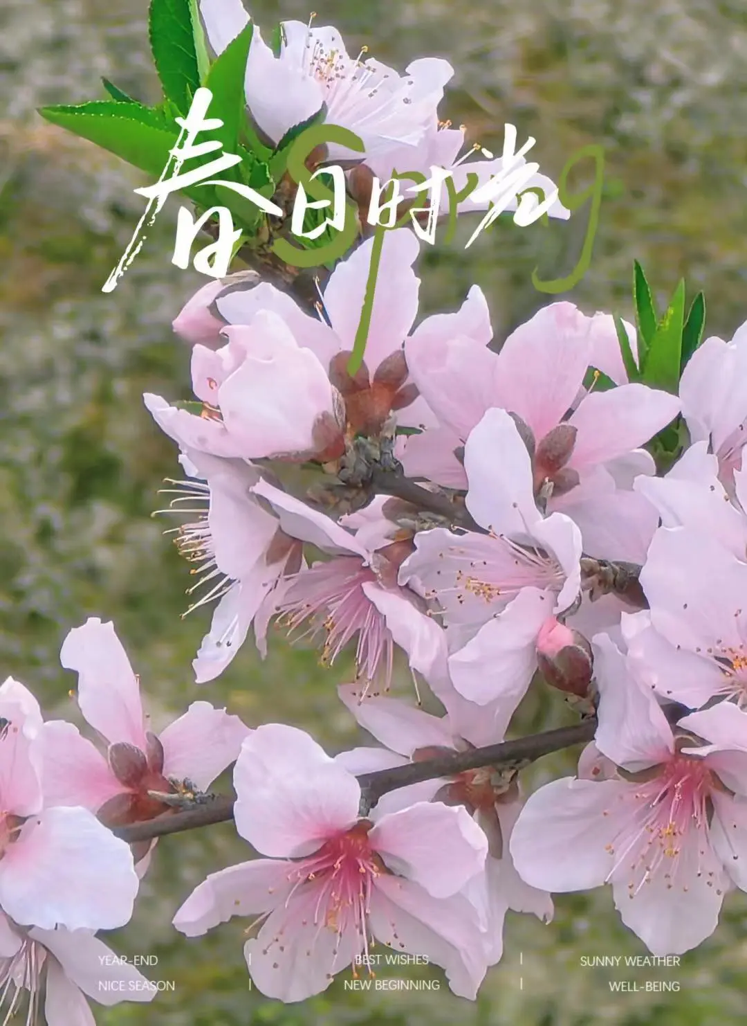 9ad753a98dbaa4bbb37ef2d60d60bb23-sz_160677