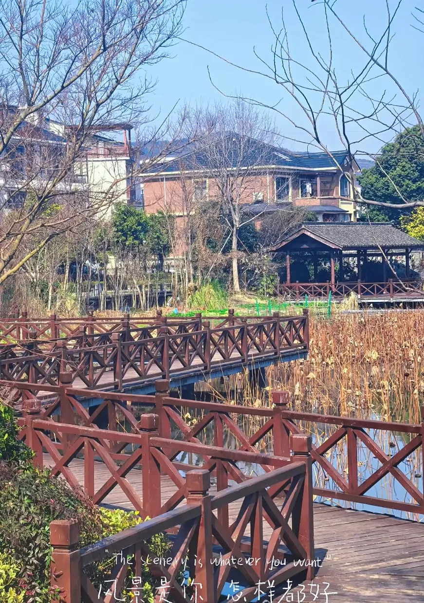 9ad76fb7dace4f50982b23815ecf5caa-sz_1057449