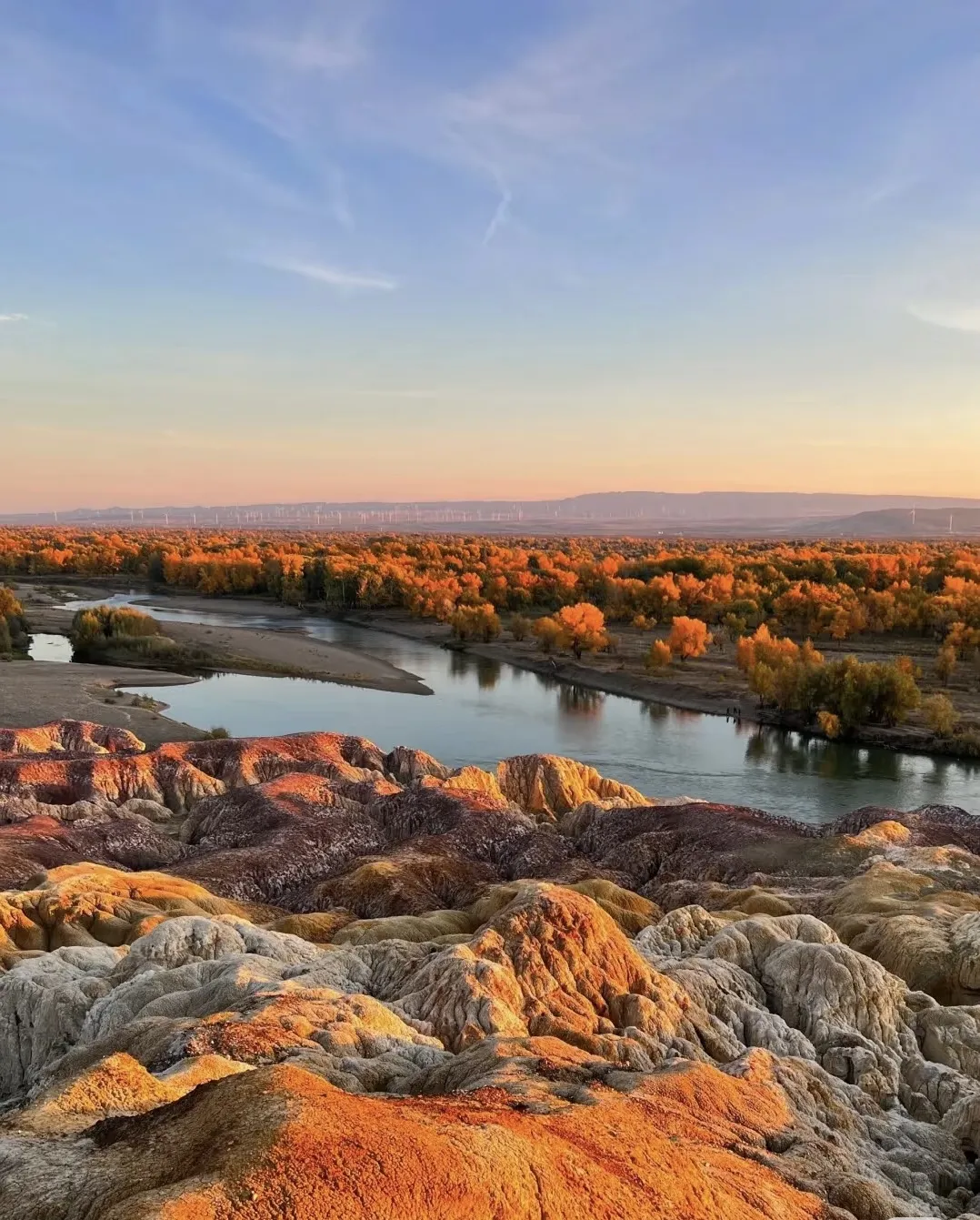 9bcdcc1ef5791ff26a60d8a746ddec65-sz_531652