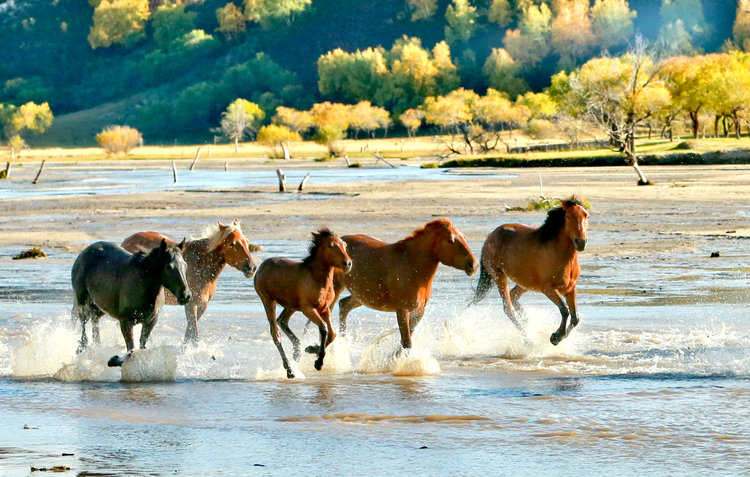 9c479904fc1348f0bd78d1a7a94913f1