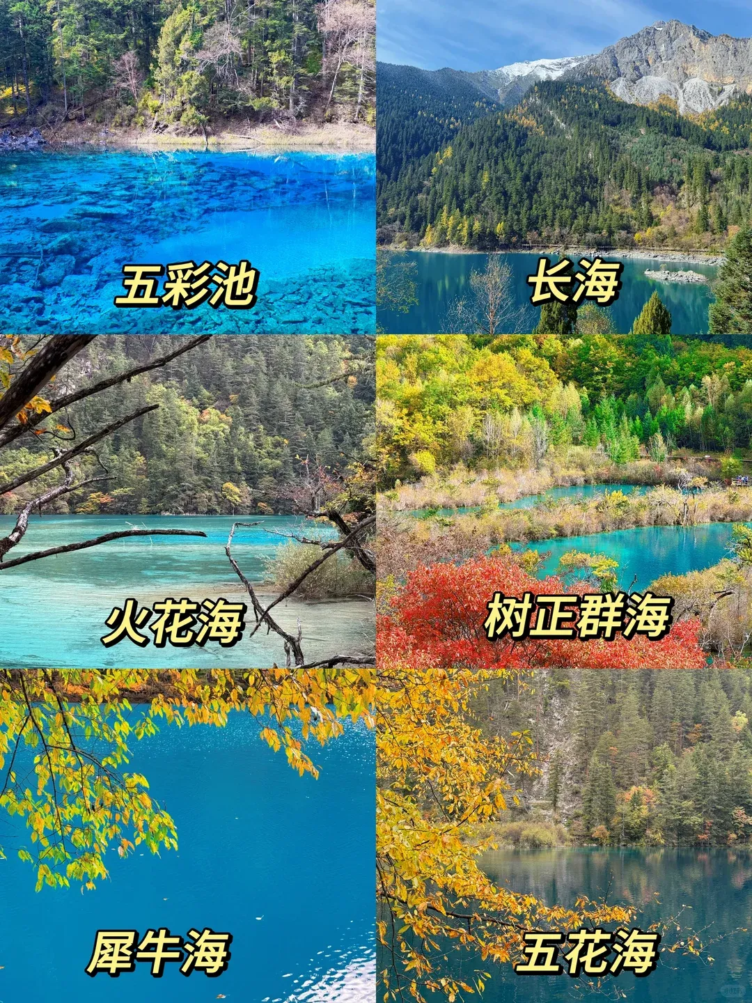 9d65851f4e1011ee1b4f1814b68d5bb1-sz_3521962