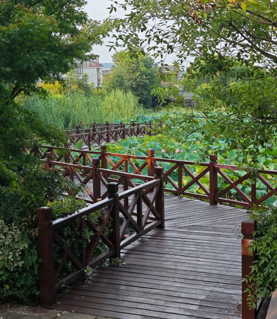 9dcaef2ecb0a62aaffb4b5ae9c5f745b-sz_1314195