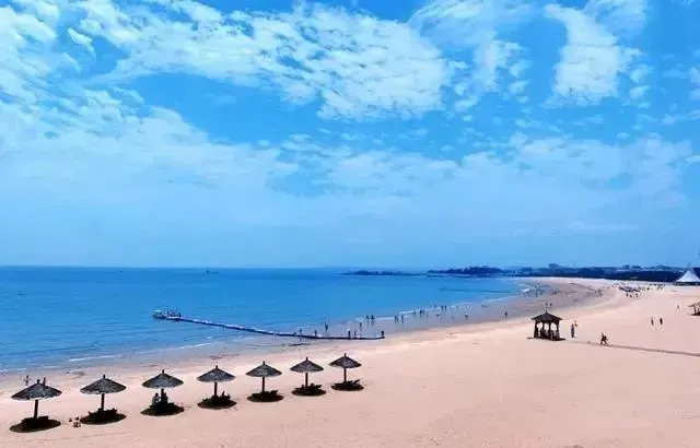 9dd9009c35aaa7b49011d28e3a96b3c2-sz_31913