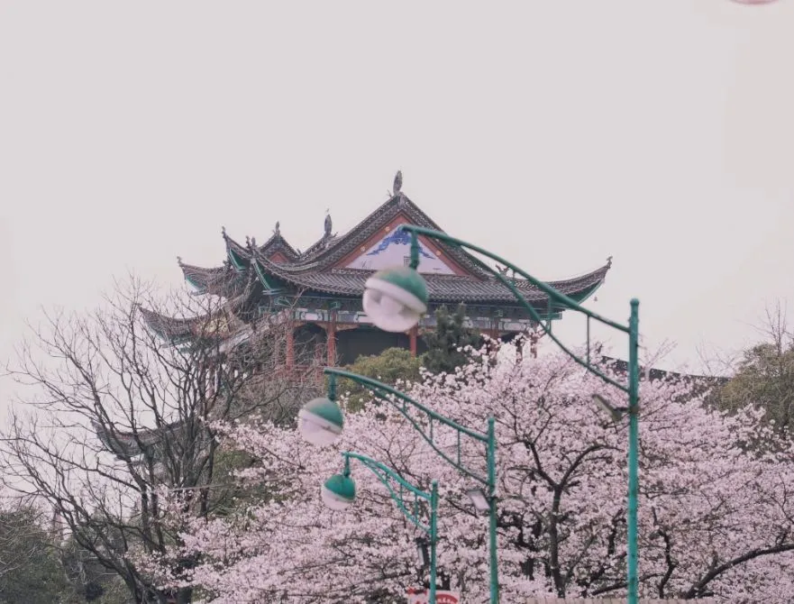 9e0df359d3610e49d47954a4b044aac9-sz_107014