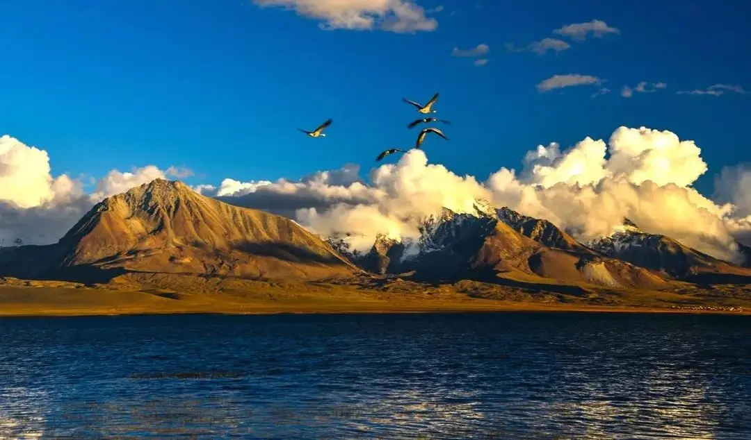 9e5d498e049b22302db8b711d662f30c-sz_95404