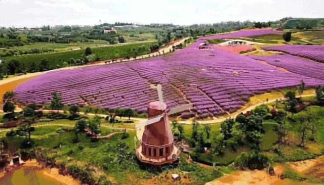 9e69ca697059da52ea7417bad35ad9e1-sz_7021007