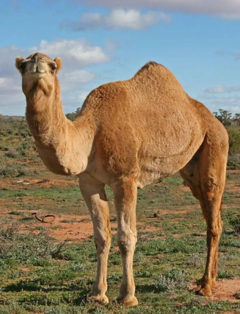 9f99b783e5d5ef4645e97dad8d395e4e-sz_1430334