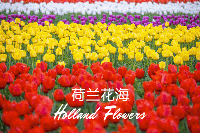 CDnhCwA9I8Mk9O3J2JnjzhT1g96LvGl21Iw6nn4Ksa0GG1555983741634