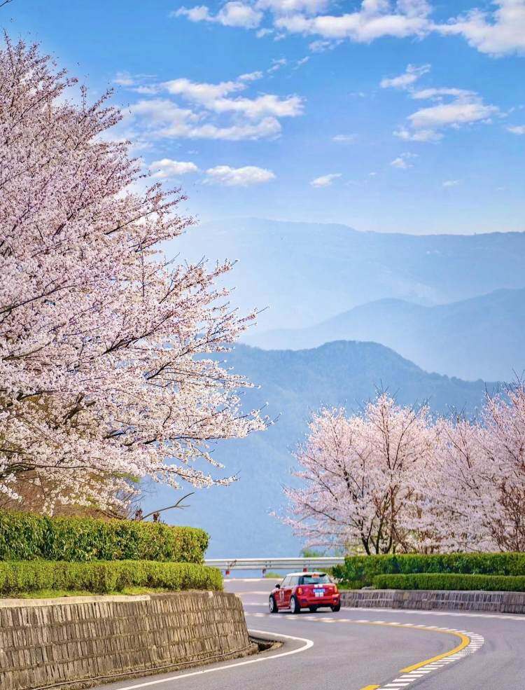 KE4EHM8wWzctxqcwzaLIJhz17XgLuHhQ