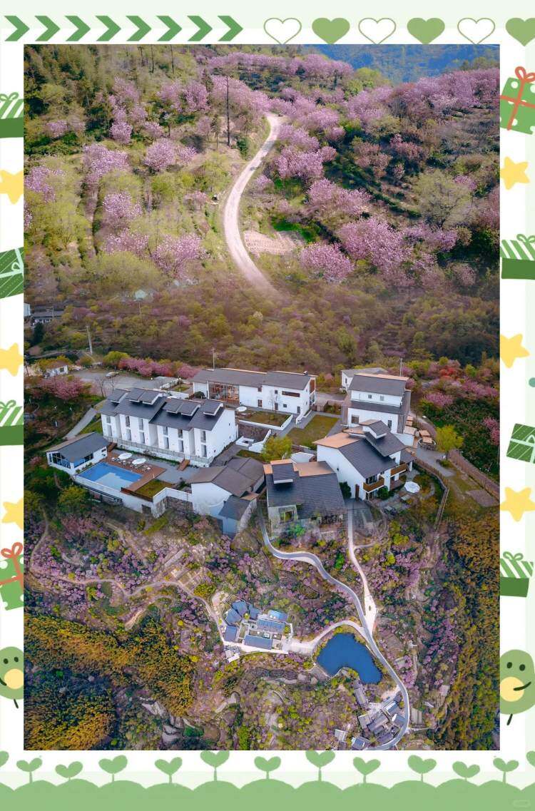 PmI3_VPDQY8iVAQPi-4OMjHNZz4f6L4q