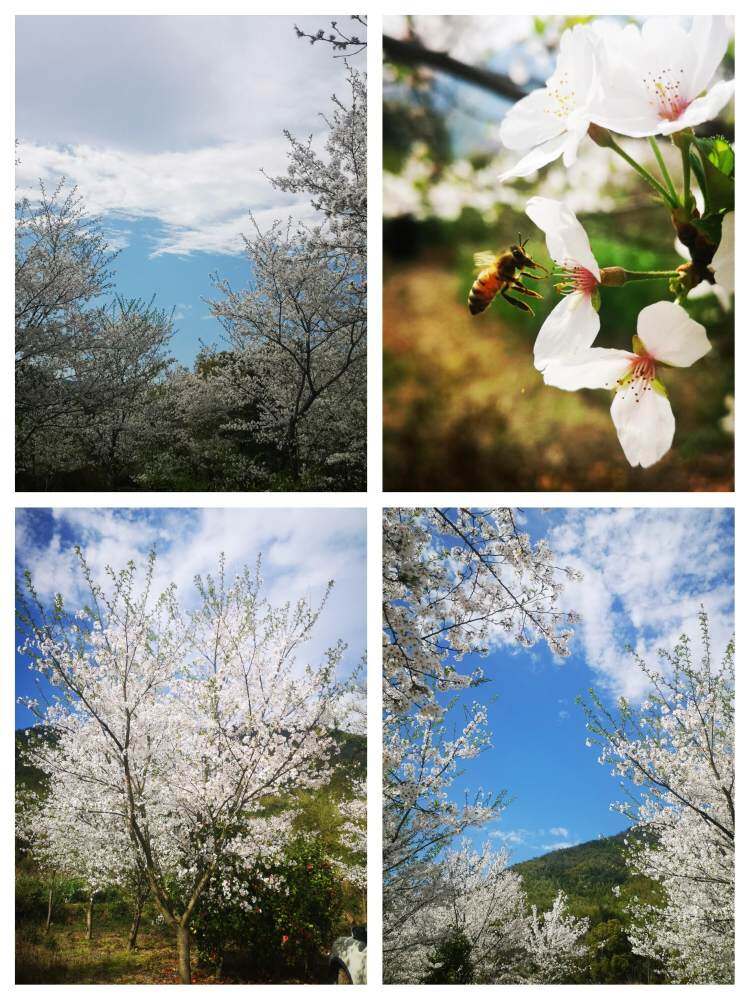 V0wlpDP36QPM6AJ53-f81P2woUvhM3n9