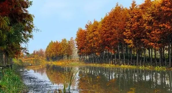 a0be2f4c9b3a61e4457b9e85d90466d1-sz_519863