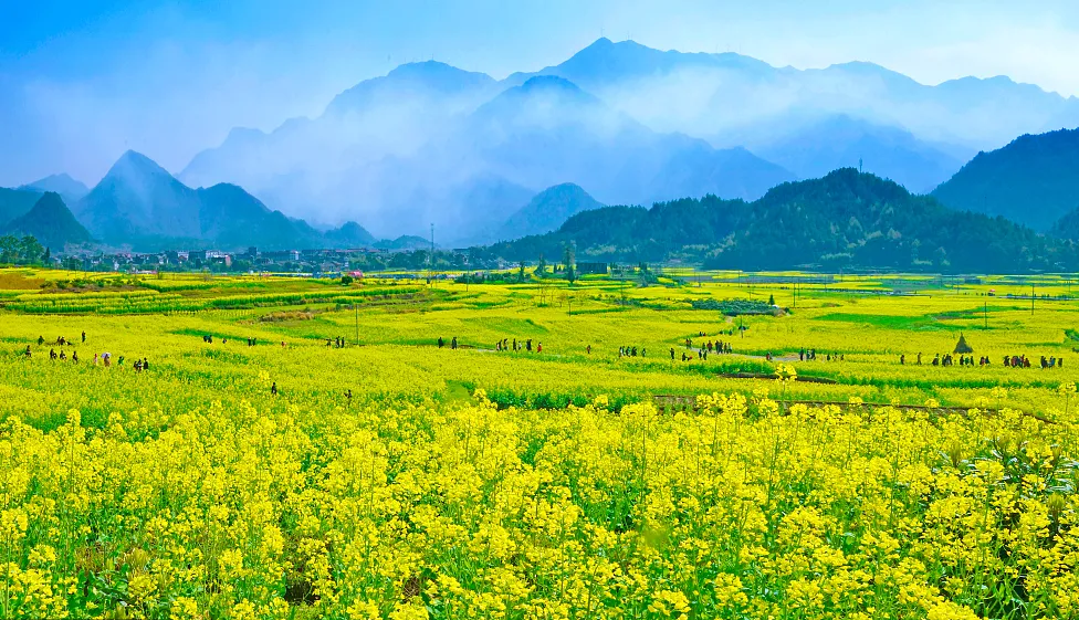 a0cb16e2a5f3b4546b2c90204bc4bca7-sz_1113060