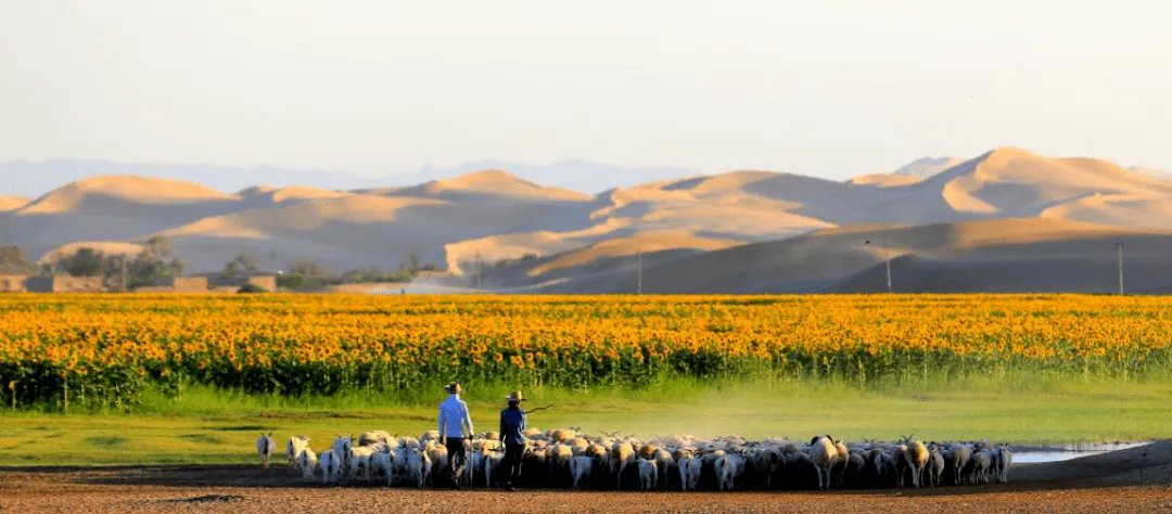 a0d6480d78f752c0da38aaf859723b63-sz_196541