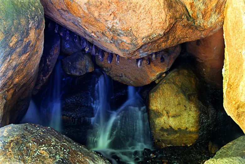 a168b5ef62bf0747dbb7533d8b5f32c0-sz_180493