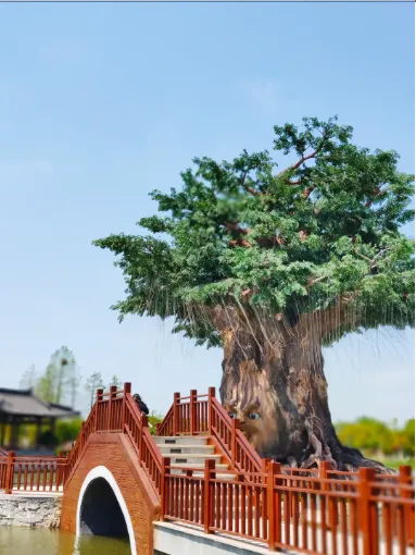 a169c113a150b51794a650559fda4691-sz_304943