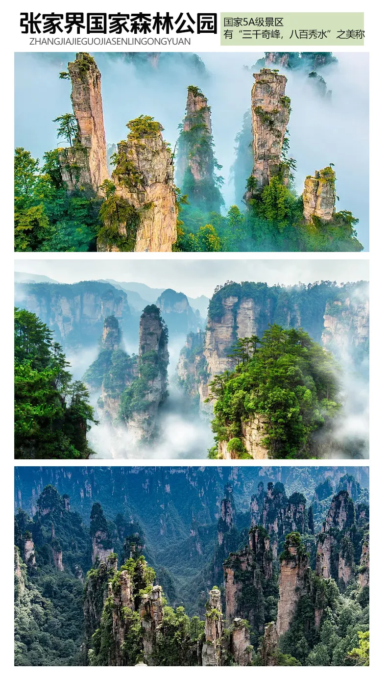 a191e8f488af8a725e9e69a4c773173f-sz_2568975-2