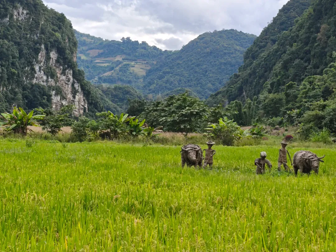 a1930a74056dec865993e6182c7e7927-sz_3515998-1