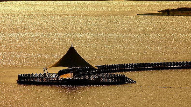 a2cab6e1767942fb72b5495d8ff48866-sz_933357