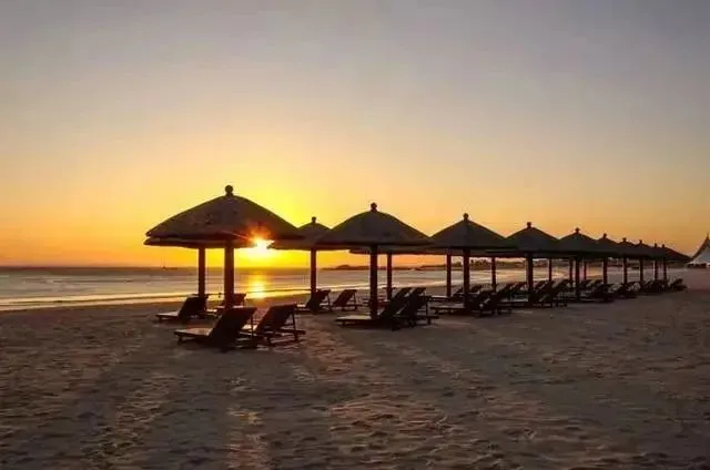 a2ee573aa2485931b9750bc098eea1b3-sz_30078