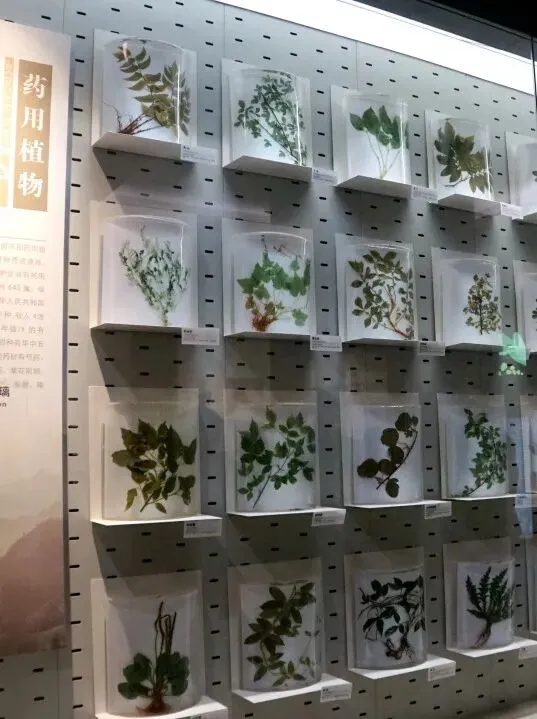 a32a54213fe185563d8286e17c4f548c-sz_65546