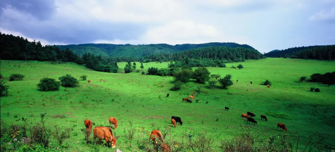 a34d052efa452cbad74ba4c540c8b9f3-sz_578734-2