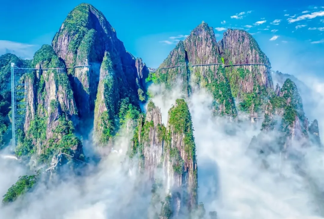 a3c5062ba519914cb42481860e08ec36-sz_710034-1