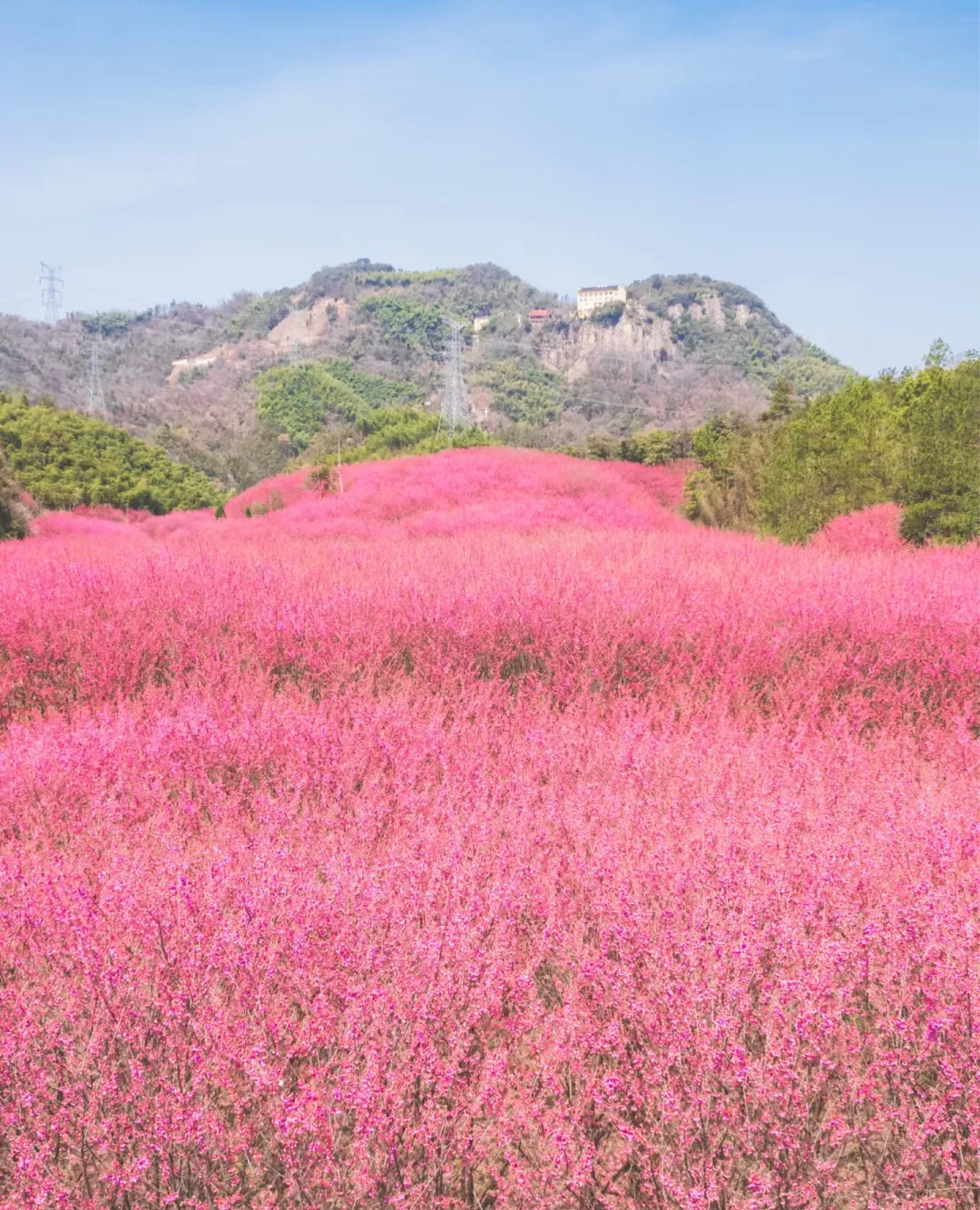 a3f3cc62765f206a9df0d3255294b611-sz_2195309