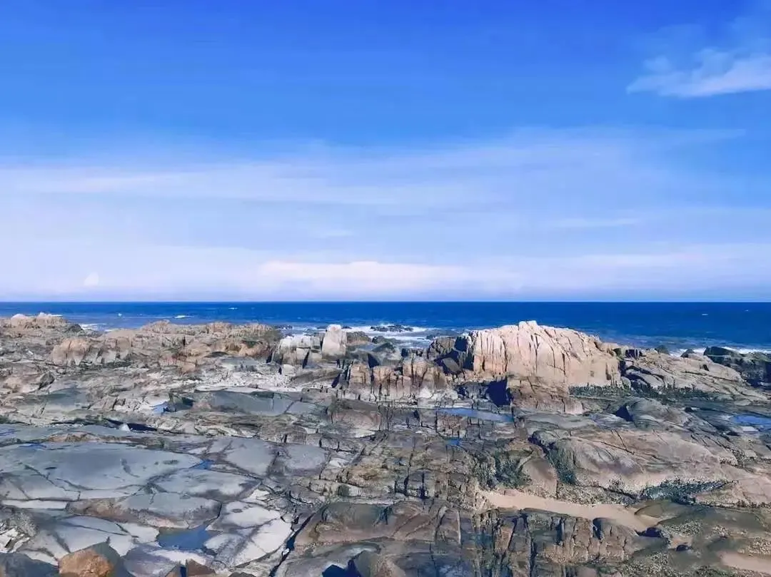 a4033cad76018a8686ffdc3f7a7c1350-sz_123195