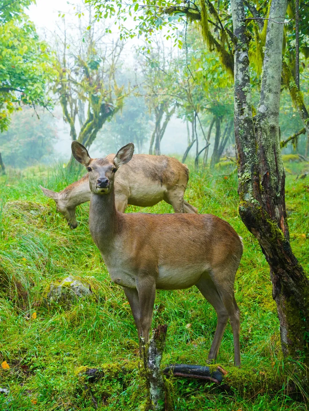 a486a4d9aaba0629f7476194ae156e8f-sz_3441124 a486a4d9aaba0629f7476194ae156e8f-sz_3441124