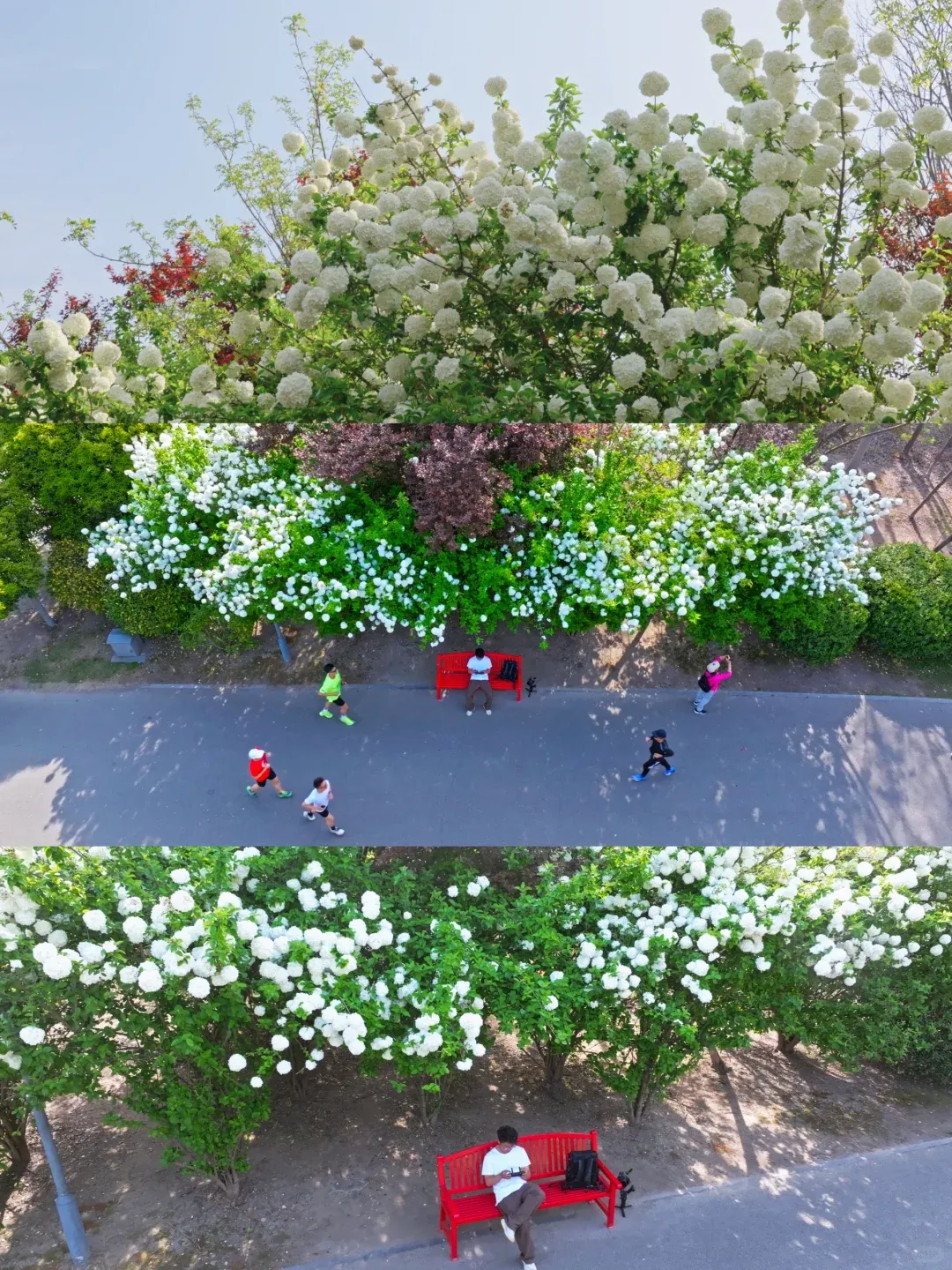 a4ad7d099009e92f17352cf5bf789d32-sz_2751759 a4ad7d099009e92f17352cf5bf789d32-sz_2751759