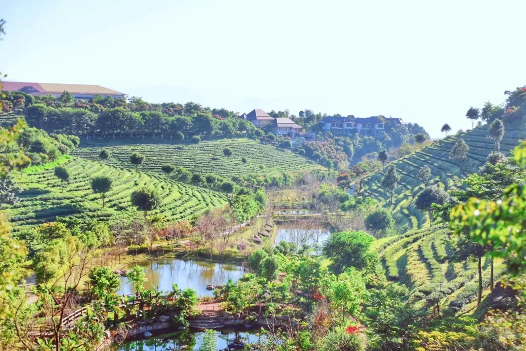 a4c5fbda3dea8c0c8309541e49a48a8a-sz_1127211-1